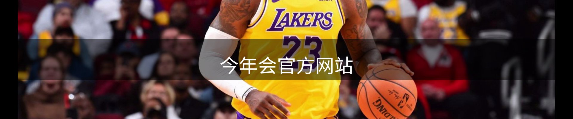 今年会官方网站